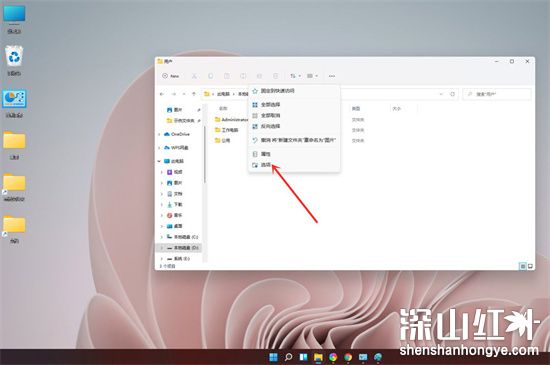 Windows11怎么显示文件后缀名 Win11怎么让文件显示后缀名(图4)