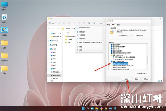 Windows11怎么显示文件后缀名 Win11怎么让文件显示后缀名(图6)