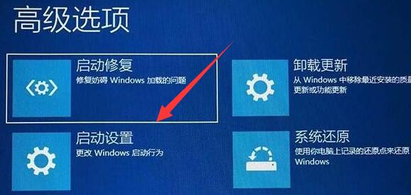 win11蓝屏0xc0000001怎么办 win11蓝屏0xc0000001解决教程(图3)
