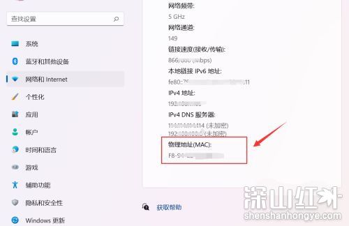 win11mac地址怎么查 win11mac地址查询方法