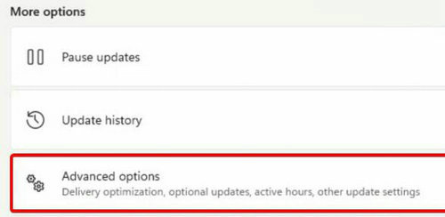 win11摄像头无法打开怎么办 win11摄像头打不开解决方案(图5)