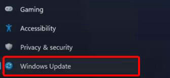 win11摄像头无法打开怎么办 win11摄像头打不开解决方案(图2)