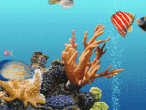 海底世界动态屏保免费电脑版 v1.0
