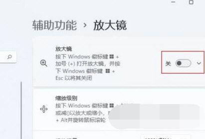 Windows11放大镜怎么关 Windows11放大镜怎关闭方法
