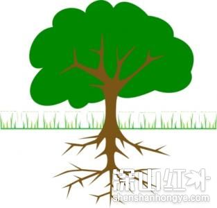 什么叫根目录和子目录 子目录和根目录的区别