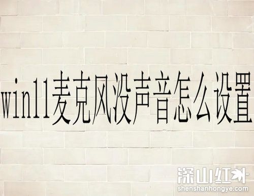 win11麦克风没声音怎么设置 win11麦克风用不了解决办法(图1)