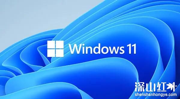 win11家庭版和专业版哪个好 windows11家庭版和专业版有什么区别