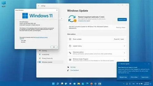 电脑升win11有必要吗 有必要升级win11系统吗
