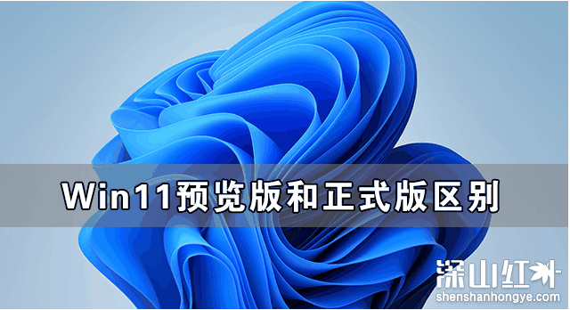 win11预览版和正式版有什么不同 win11预览版和正式版区别