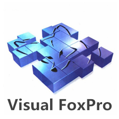 visual foxpro 6.0中文版