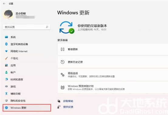windows11更新怎么永久关闭 windows11关闭自动更新永久方法