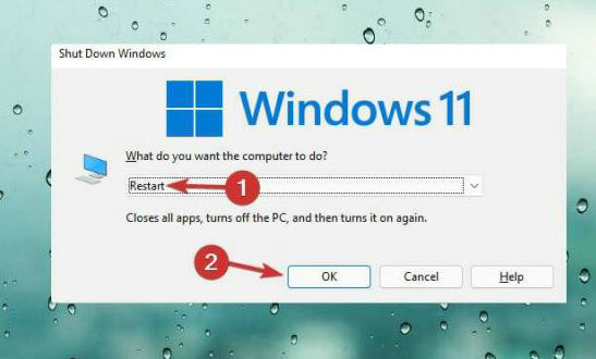 windows11触摸板用不了怎么办 windows11触摸板用不了解决办法