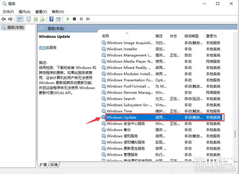 windows11系统更新怎么关闭 windows11系统更新关闭教程