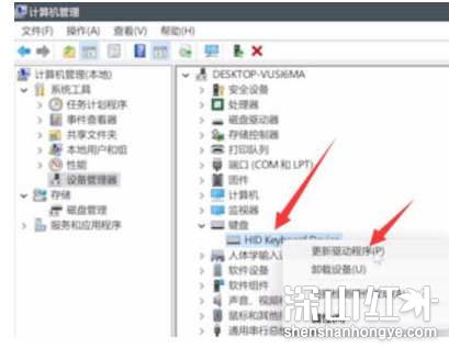 win11键盘无法输入任何东西怎么办 win11键盘无法输入任何东西解决办法(图1)