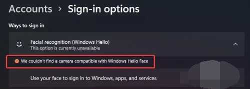windows11设置不了脸部识别怎么办 windows11设置不了脸部识别解决办法