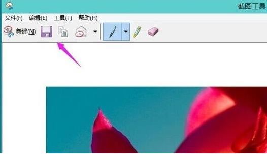 win11截图工具在哪里 win11截图工具位置一览(图1)