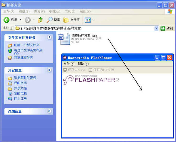 macromedia flashpaper v1.0
