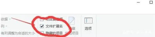 怎么改文件后缀名格式win10 win10改文件后缀名格式方法(图4)