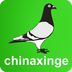 中国信鸽信息网 v20220618