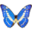 蝴蝶点读软件 v1.0.0.0