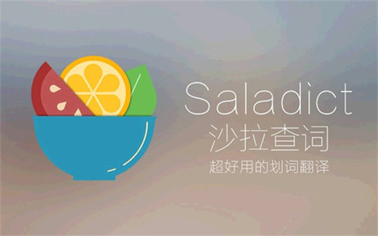 saladict desktop翻译最新版 v7.19.0