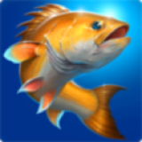 钓鱼胡克破解版 v1.5.0