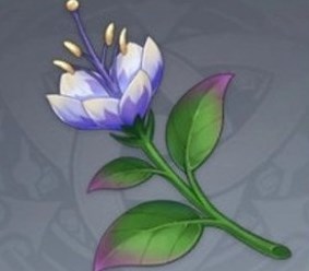 原神帕蒂莎兰怎么采集 原神帕蒂莎兰采集地点一览