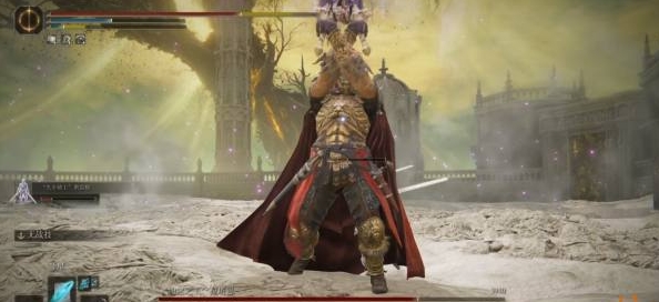 艾尔登法环dlc支线boss有哪些 艾尔登法环dlc支线boss介绍