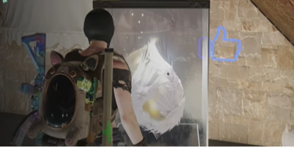 七日世界上界之卵怎么获取 七日世界上界之卵获取攻略