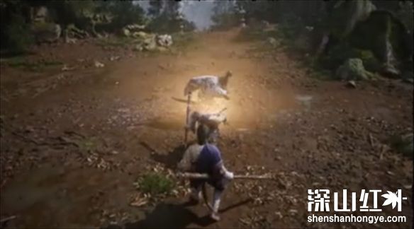 黑神话悟空气力是什么 黑神话悟空根基一览