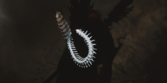 黑神话悟空卵中骨在哪 黑神话悟空卵中骨获取位置一览