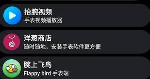 如何安装洋葱商店app