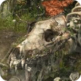 千年手游变态版下载 v1.2.9