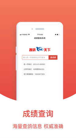 搜鸽天下